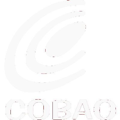 P&aacute;gina Moodle COBAO
